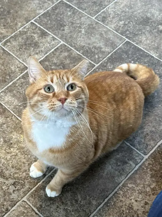 Nick