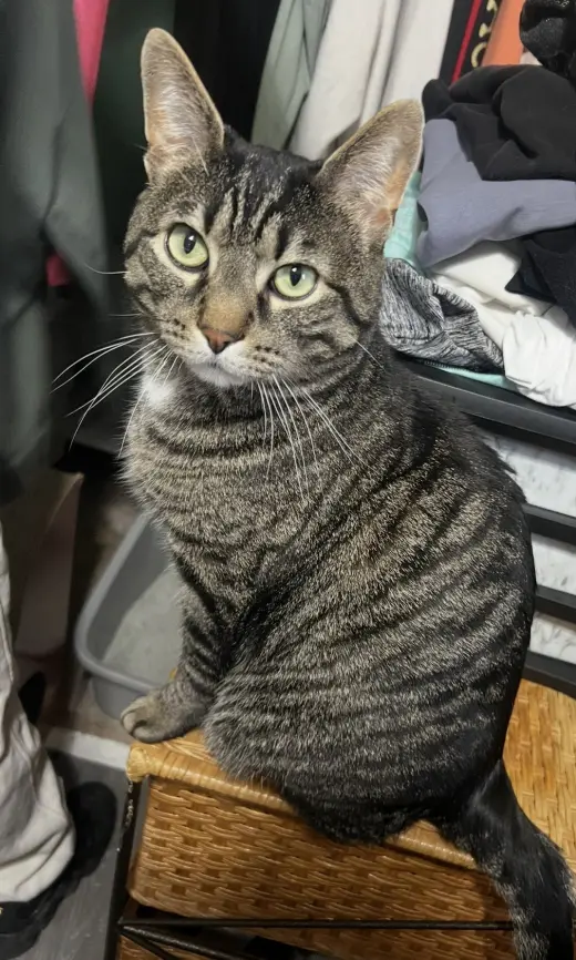 Roberto