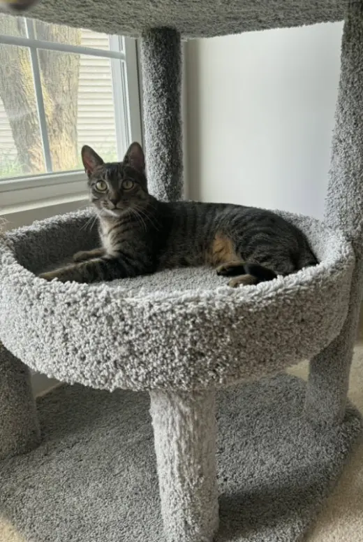Leo