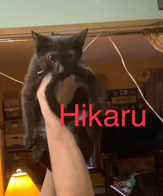 Hikaru