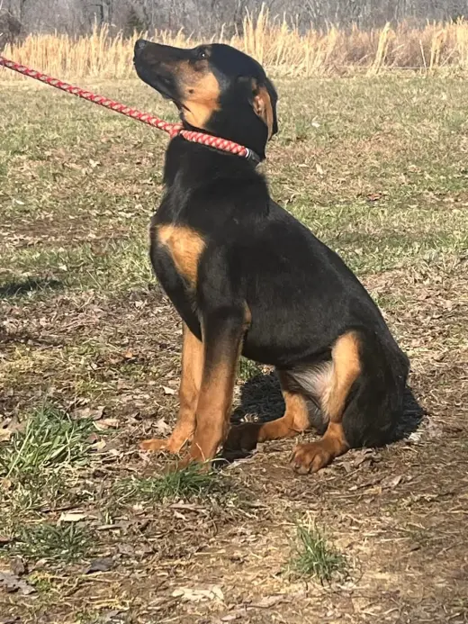 Anya
