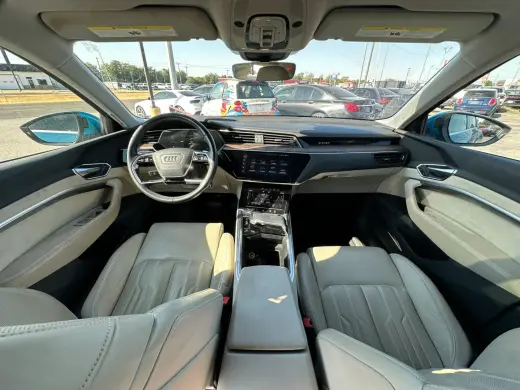 2019 AUDI E-TRON