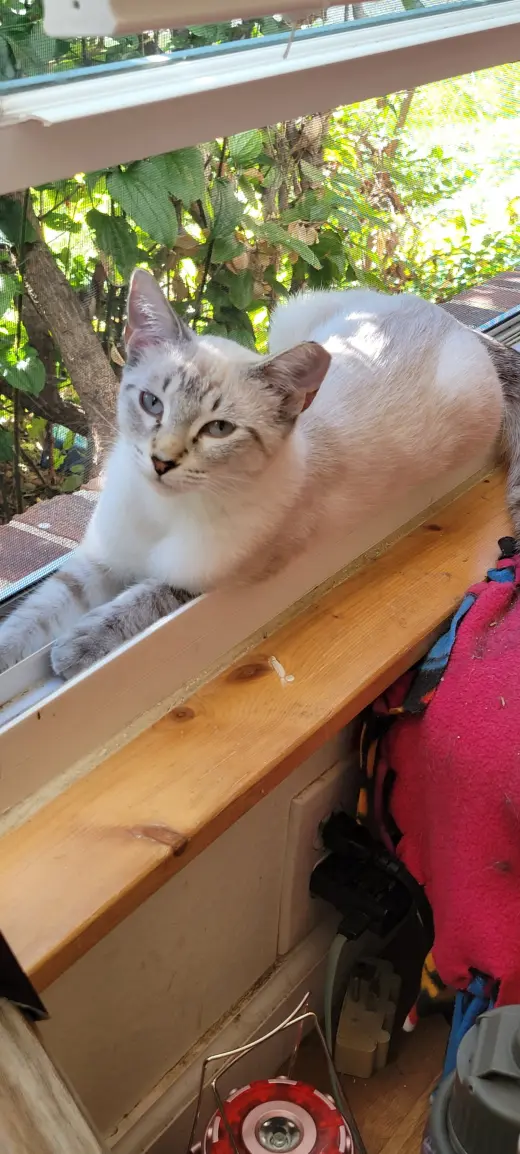 Lucy