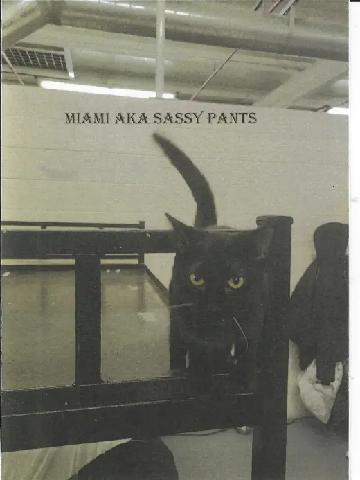 Miami