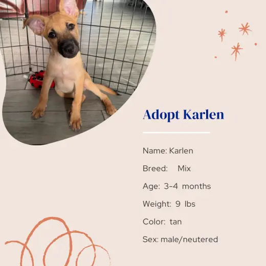 Karlen