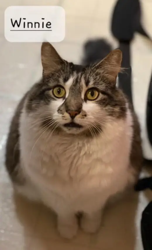 Winnie