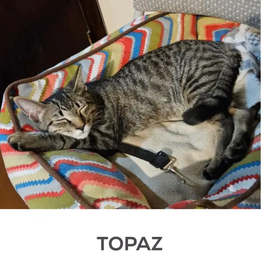 TOPAZ