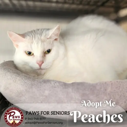 Peaches