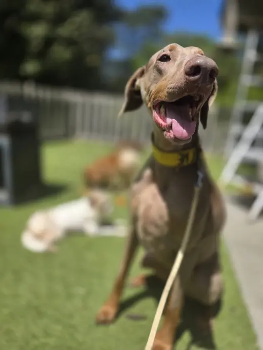 Marley Mae