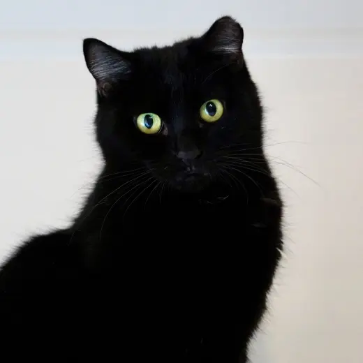 Eleanor