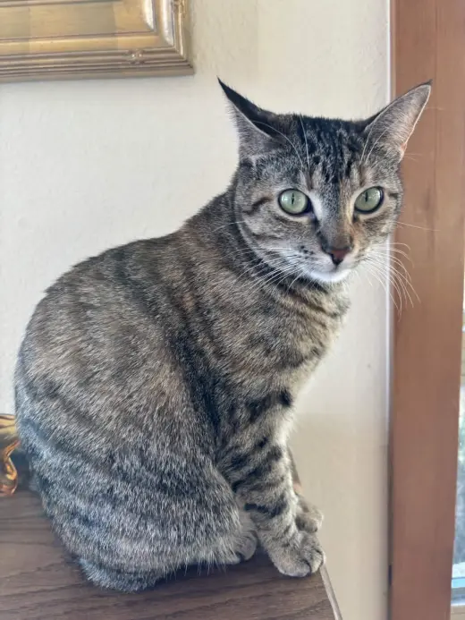 Cleo