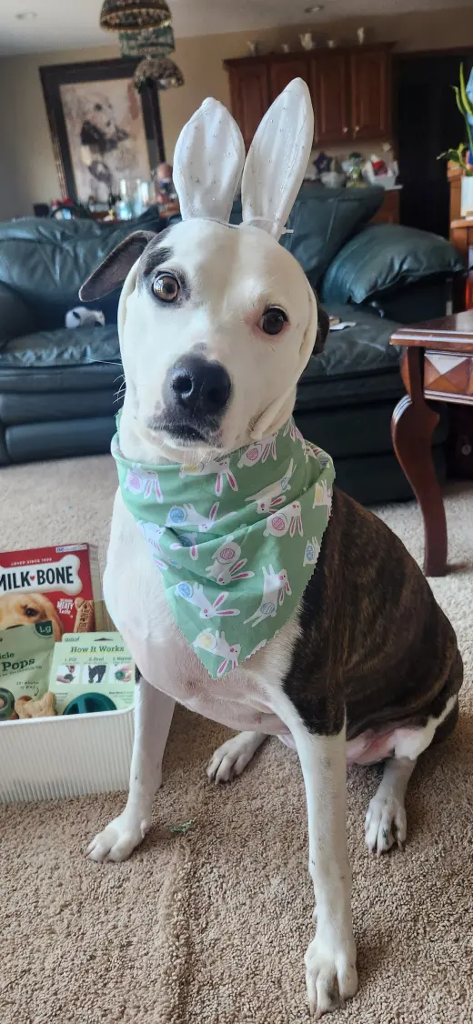 Piper Jo