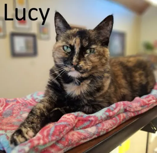 Lucy