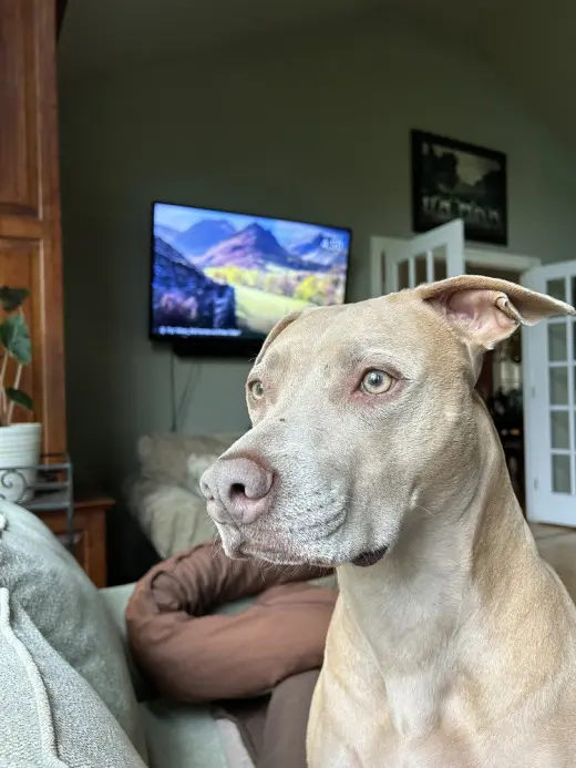 Maggie