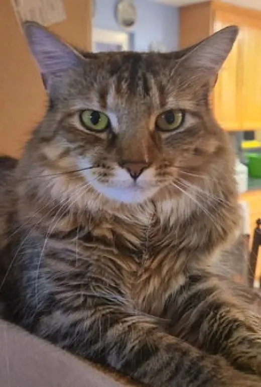Ellie 07-4320