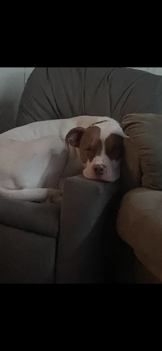 JAX (COURTESY POST)