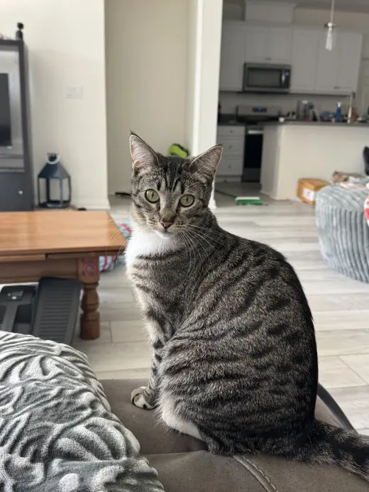 Eloise
