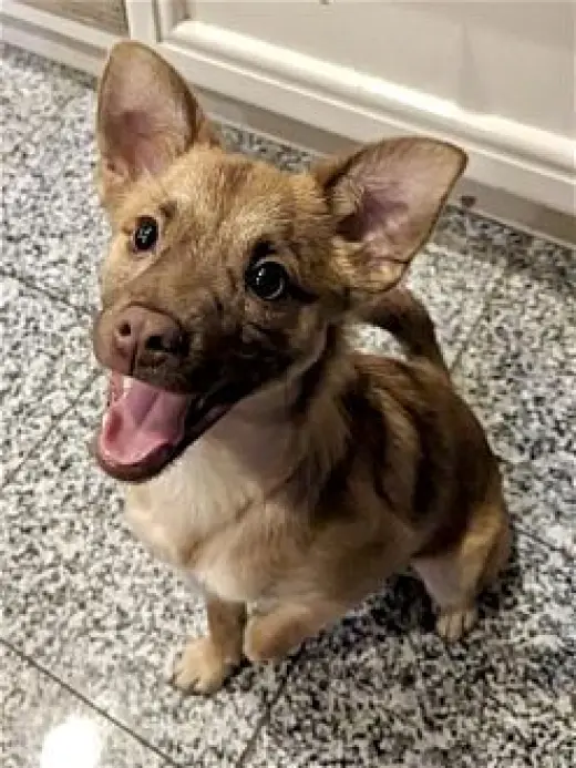 Tito
