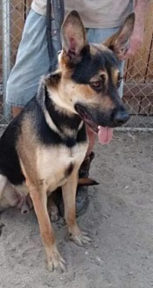 Zeke
