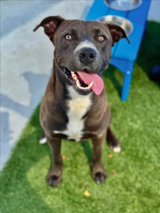 ZEKE