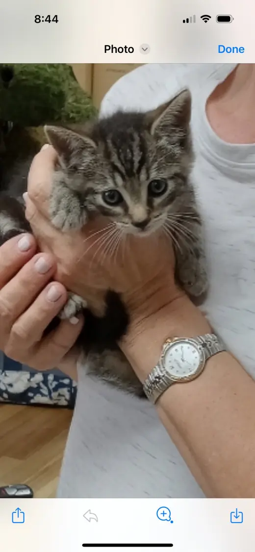 Carlo3
