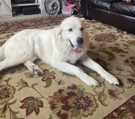 Sokka/Odin