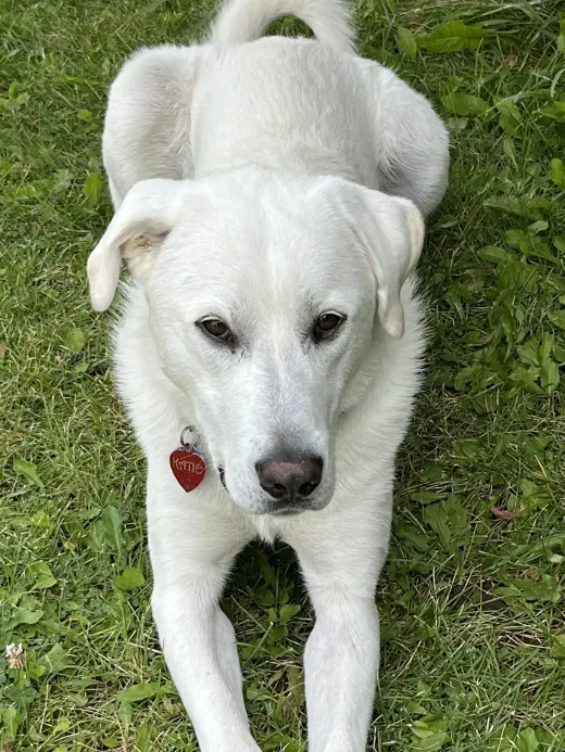 Savannah