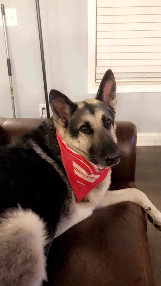 Ranger