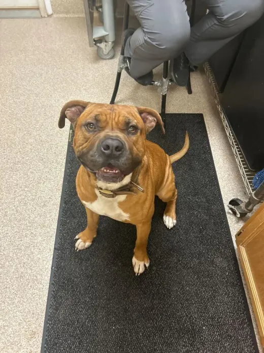 Zeus