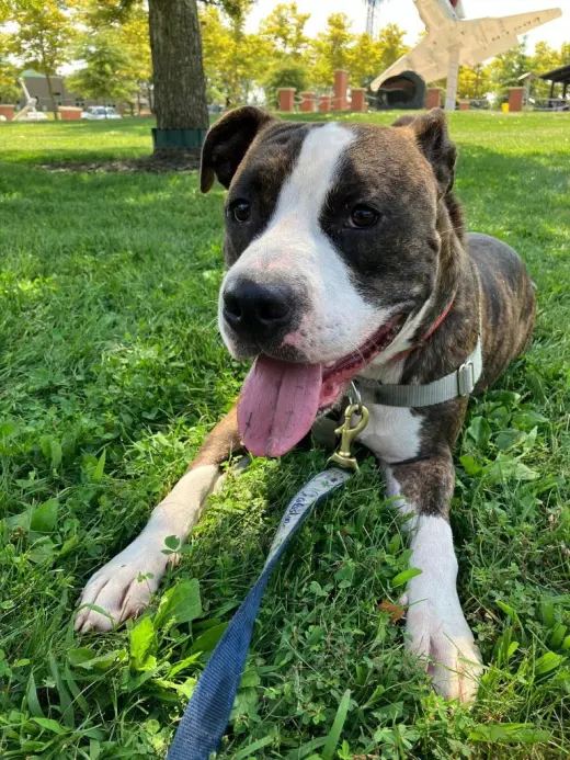 Sebastian