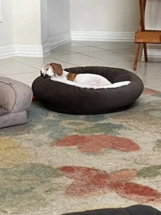 Baxter