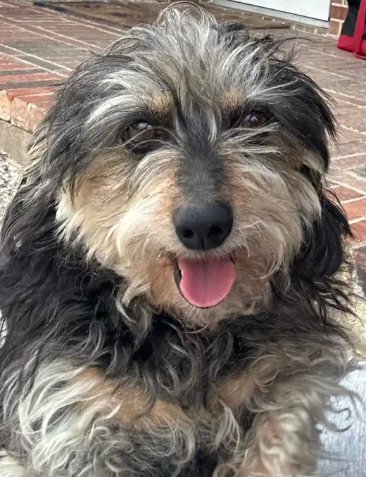 Juliette