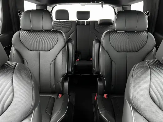 Hyundai PALISADE 2024 Calligraphy 4dr SUV