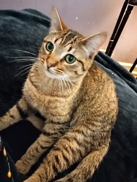 Maggie