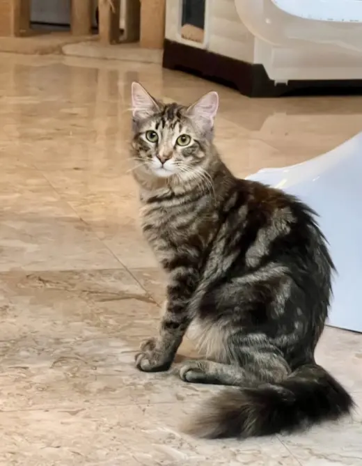 LUNA