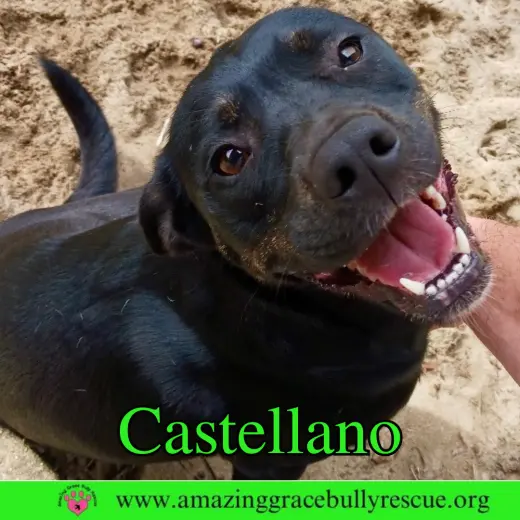 Castellano