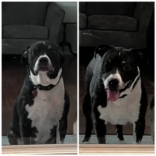 JAGER (COURTESY POST)