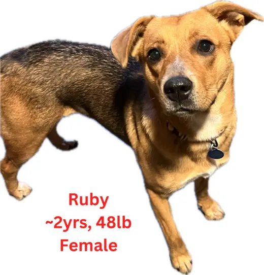 Ruby