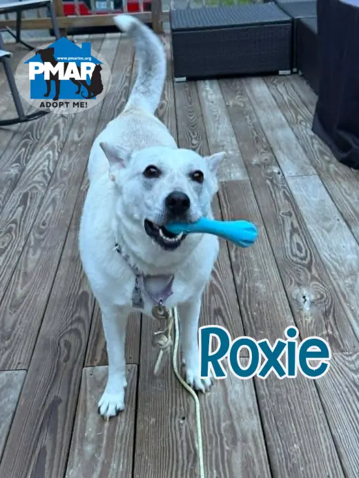 Roxie