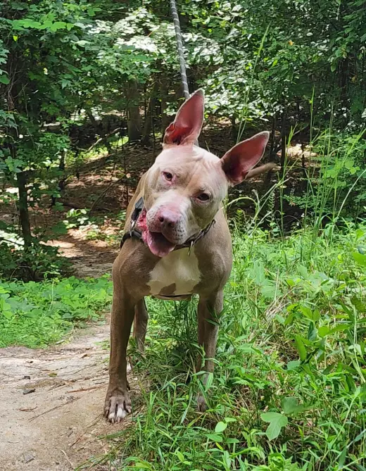 Persephone in Gloucester VA