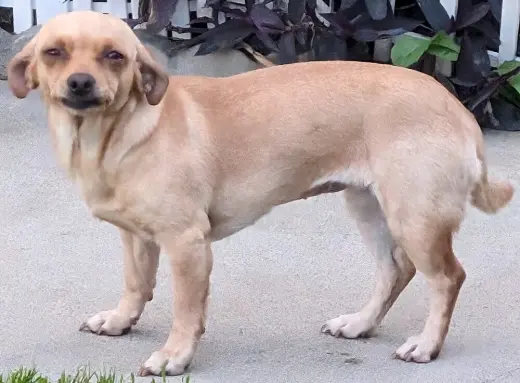 Winnie