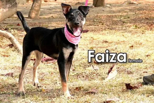 Faiza from Taiwan