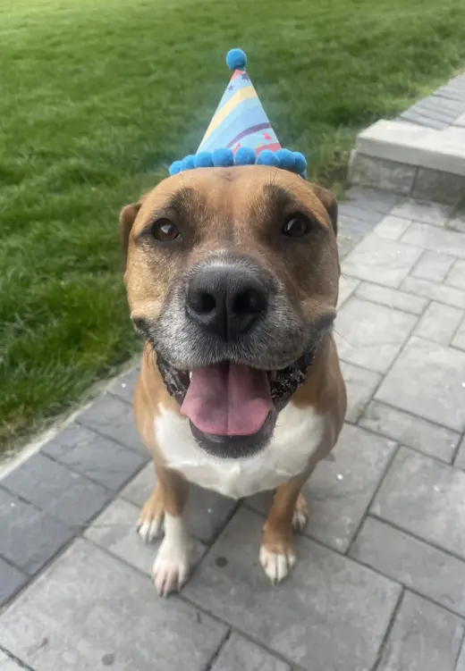 Roman