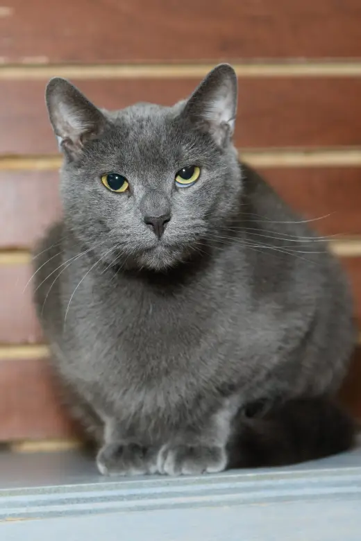 Jim