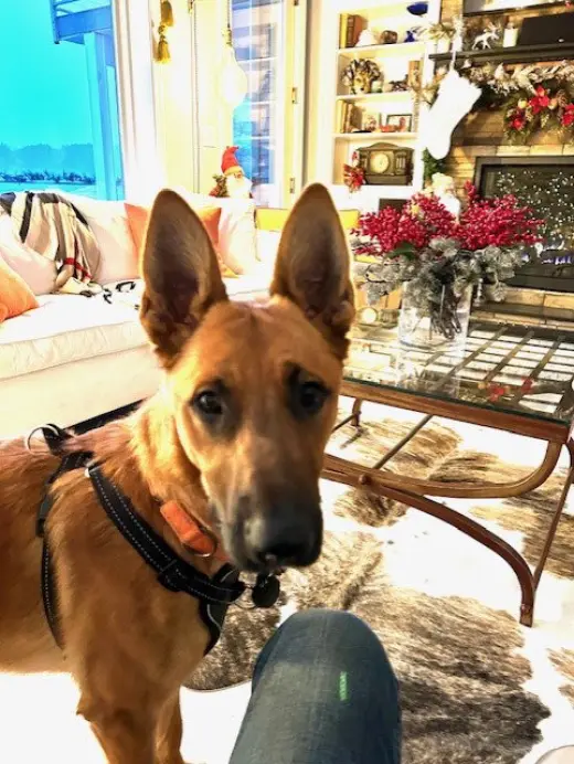 Winston - NY - COURTESY POST