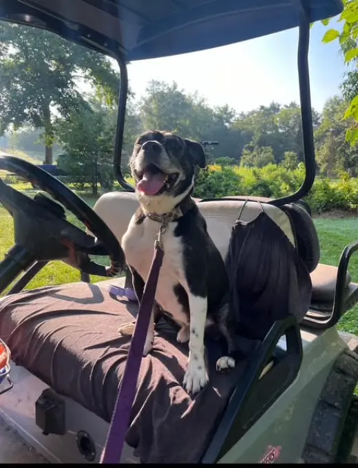 Roscoe in Scottsville VA