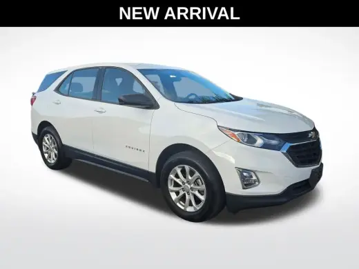 Chevrolet Equinox 2018 4x4 LS 4p SUV con 1LS