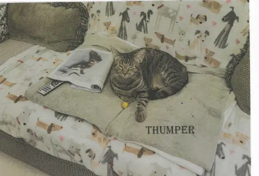Thumper