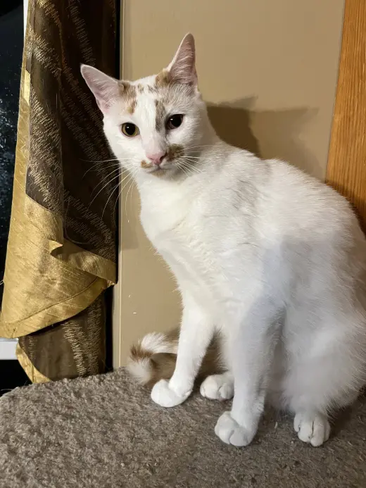 Ken