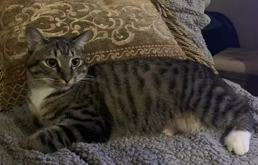 Axle